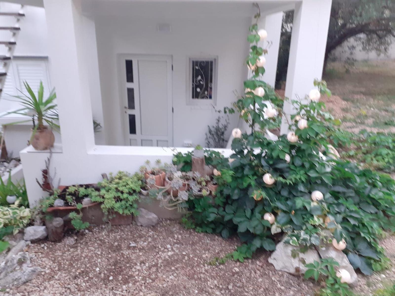 Villa Ana Makarska Camera foto